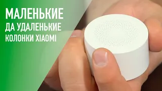 Портативные колонки от Xiaomi – маленькие да удаленькие!