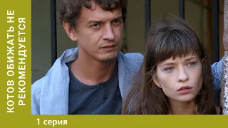 Котов обижать не рекомендуется. 1 Серия. Криминальный детектив. Лучшие сериалы