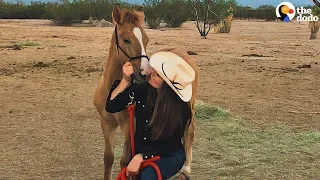 Baby Wild Horse Comes WAY Out Of Her Shell | The Dodo