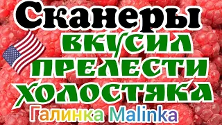 Сканеры/Вкусил прелести холостяцкой жизни /Обзор Влогов /