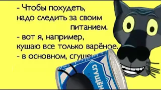 ✔️Девушки, не надо сидеть на диете, ей же больно! Анекдоты с Волком.#ВГостяхУВолка