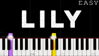 Alan Walker, K-391 - Lily | EASY Piano Tutorial