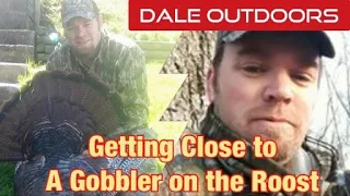 Getting Close to a Gobbler on the roost