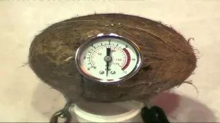 Coconuts Explode Using Electricity