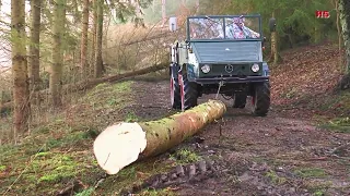 UNIMOG 411...komm wir fahren ins Holz