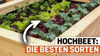 Hochbeet bepflanzen: Das sind die 7 besten Gemüsesorten