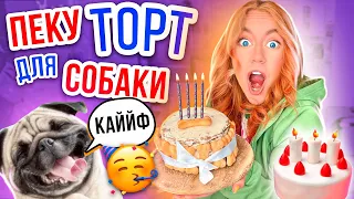 Пеку Тортик НА ДЕНЬ РОЖДЕНИЕ Бакса🎂👉Вкусный ТОРТ ДЛЯ СОБАКИ 🔥