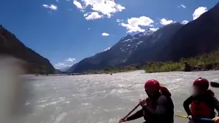 Grizzly Bear Chasing A Kayaker Is The Scariest Things You'll See Today