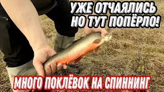 Водно-пеший ПОХОД за АРКТИЧЕСКИМ ГОЛЬЦОМ и КУМЖЕЙ. РЫБАЛКА в тундре КОЛЬСКОГО ПОЛУОСТРОВА.