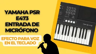 Yamaha PSR-E473 entrada de micrófono 🎙