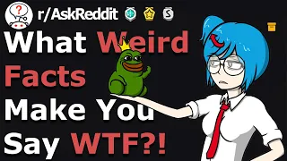 Weird Facts That Will Make You Say WTF! (r/Askreddit)