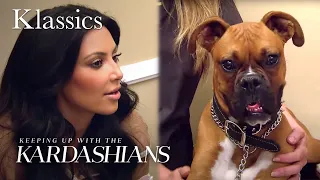 Kim Kardashian Takes Her Dog to Get Neutered | KUWTK Klassics | E!