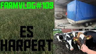 FarmVLOG#109 Es Hapert/Mais und Getreide/Paula