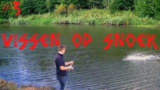Aflevering 3: Vissen op snoek