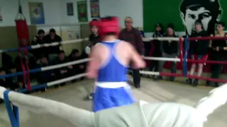 бокс спорт Чеченская Республика