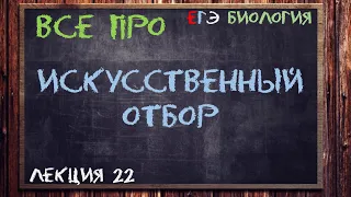 Л.22 | ИСКУССТВЕННЫЙ ОТБОР | СЕЛЕКЦИЯ | ОБЩАЯ БИОЛОГИЯ ЕГЭ