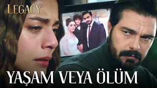 Yaman between his honor and life | Legacy Episode 301