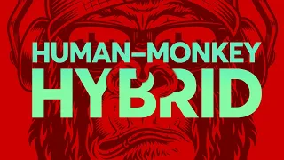 Human-Monkey Hybrid Embryo Was Just Created