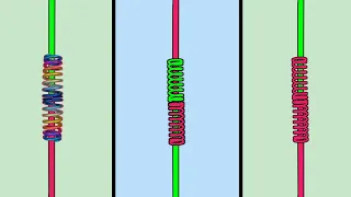 FG Knot - Easy way to connect strong fishing line