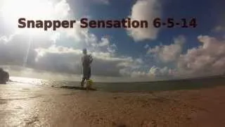 Mangrove Snapper in Corpus Christi - Corpus Fishing Club 6-5-14