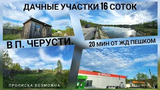 2 участка по 8 соток по 270 тыс   Черусти.