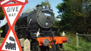 Steam at the Station! 20.04.2024.