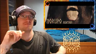 PTB Reaction | Heilung | Norupo