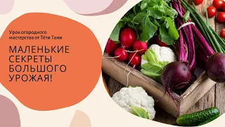 606. НАПОМИНАЛОЧКИ...