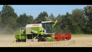 Claas Dominator 68s Cabview bei der Erbsenernte!