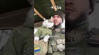 😻😻😻Котики ВСУ