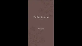 Gumpaste Trailing Jasmine #Shorts Tutorial