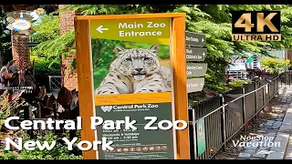Central Park Zoo | Central Park New York City - Walk Tour [4K]
