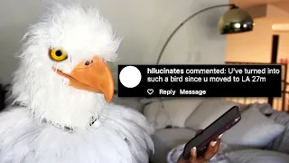 indian bird reads mean comments after moving to Los Angeles, Califnornia 90048..(it's BAD)