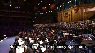 Beethoven's Deafness - How Symphony No. 9 Might Have Sounded to Him