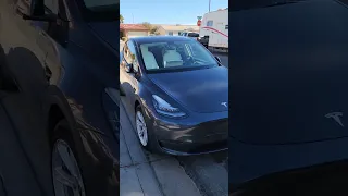 2023 Tesla Model Y with Parking Sensors?!?!