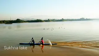 Sukhna lake chandigarh & 150 yrs old tree||chandigarh heritage tree||suicide point