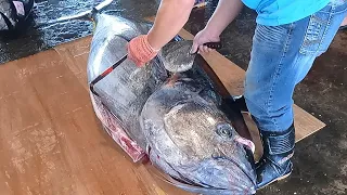 How cut giant bluefin tuna for Sashimi /fish cutting skills - Taiwanese street food