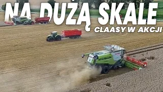 Żniwa pszenicy na 4 kombajny 2023!?X4 Claas lexion 8900 |John Deere |