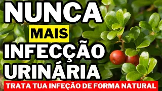 RECEITAS DE REMÉDIOS CASEIROS PARA  CURAR INFECÇÃO URINÁRIA