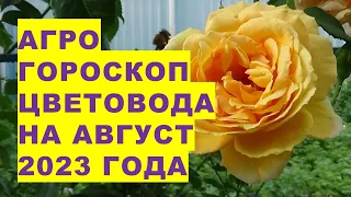 Агрогороскоп квітникарів на серпень 2023 року. Агрогороскоп квітникаря на серпень 2023 року