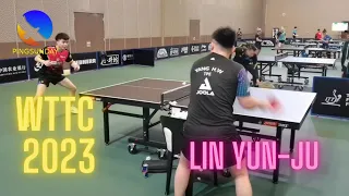 Lin Yun Ju training 2023 at WTTC Durban 2023