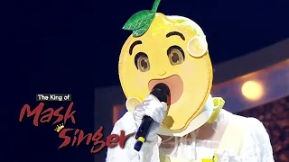 Refreshing Lemon has Chosen to Sing a Sorrowful Ballad Song [The King of Mask Singer Ep 236]