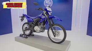 Moto que no llegara a Colombia  Yamaha WR155R