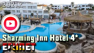 SHARMING INN HOTEL 4* [Отель 4 звезды] 11 Марта 2021 год ► ШАРМ-ЭЛЬ-ШЕЙХ, ЕГИПЕТ