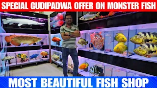 Special Gudipadwa Offer On Monster Fish | Most Beautiful Fish Shop In Virar