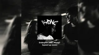 Endorphin (feat. Miyagi) - (speed up remix)