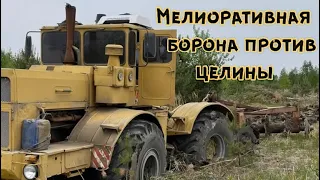 Разрабатываем залежные земли, продолжение. Бдн 2.8