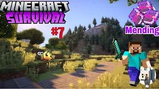 Minecraft Survival Series [episode 7] Finally I Found minding but ..
