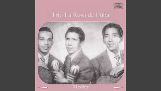 Trío La Rosa Medley: Maria Peralta / Las Mujeres Sin Conciencia / Pegadita de los Hombres /...