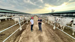 Ina-abangang Makita! Ito na ang FUTURE of CATTLE INDUSTRY in the Philippines: Abra River Ranch